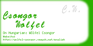 csongor wolfel business card